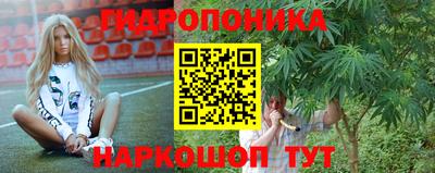 индика Апрелевка