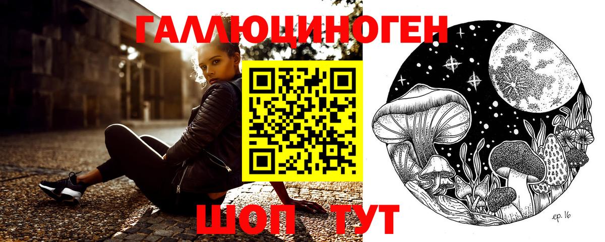 Галлюциногенные грибы GOLDEN TEACHER  Вход с VPN  где можно купить   Нарткала 