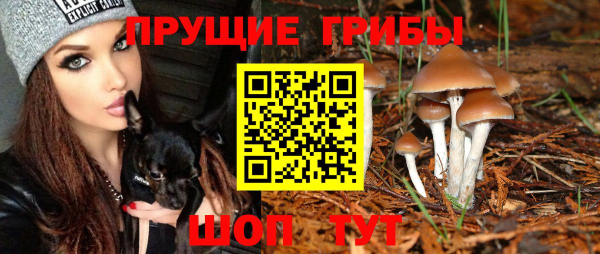 Псилоцибиновые грибы MAGIC MUSHROOMS  Нарткала 